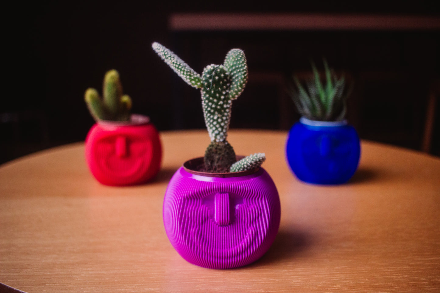 Cachepô Cara de Planta – Impressão 3D