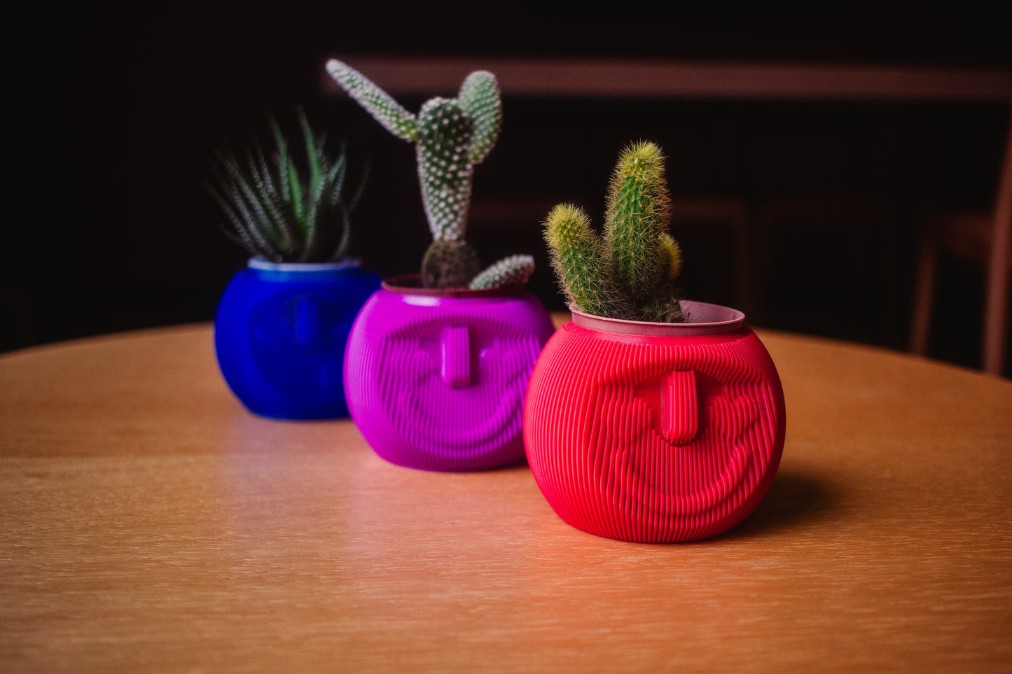 Cachepô Cara de Planta – Impressão 3D