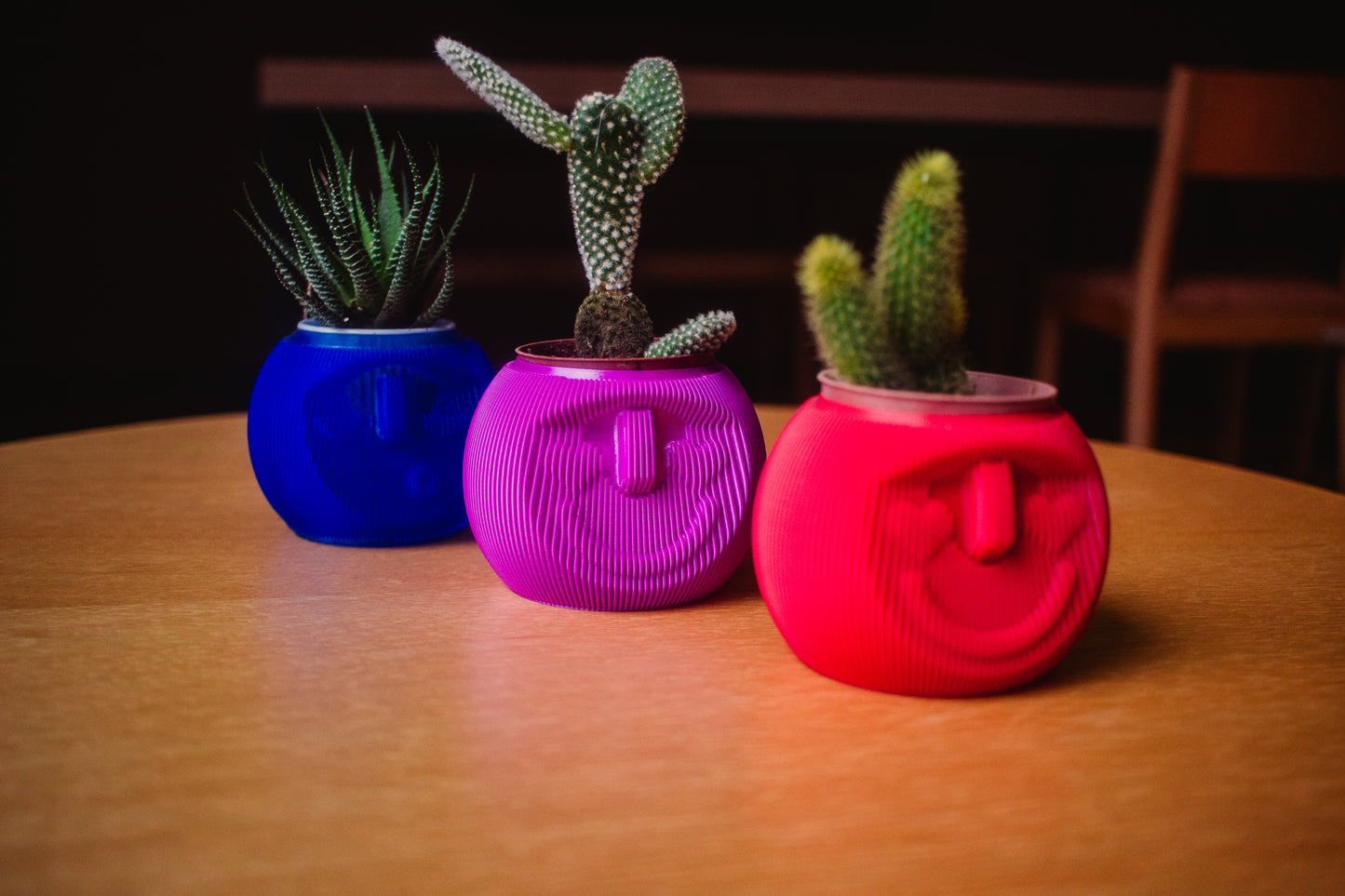 Cachepô Cara de Planta – Impressão 3D