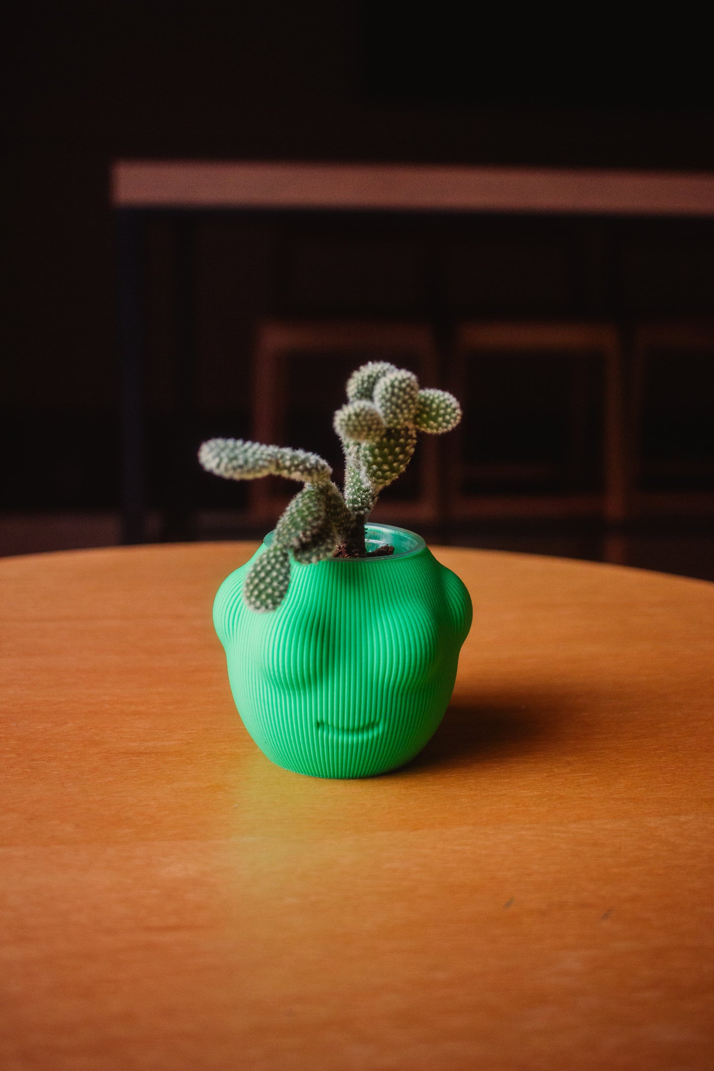 Cachepô Cara de Planta – Impressão 3D