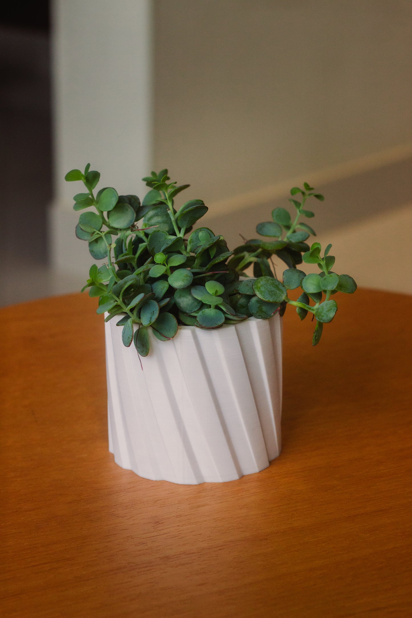 Cachepô Linear - Impressão 3D