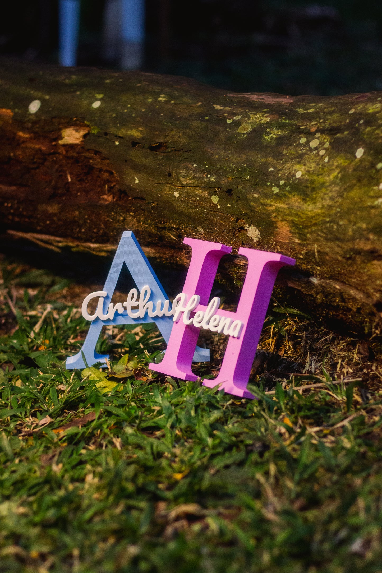 Placa de Inicial com Nome – Personalizada em 3D