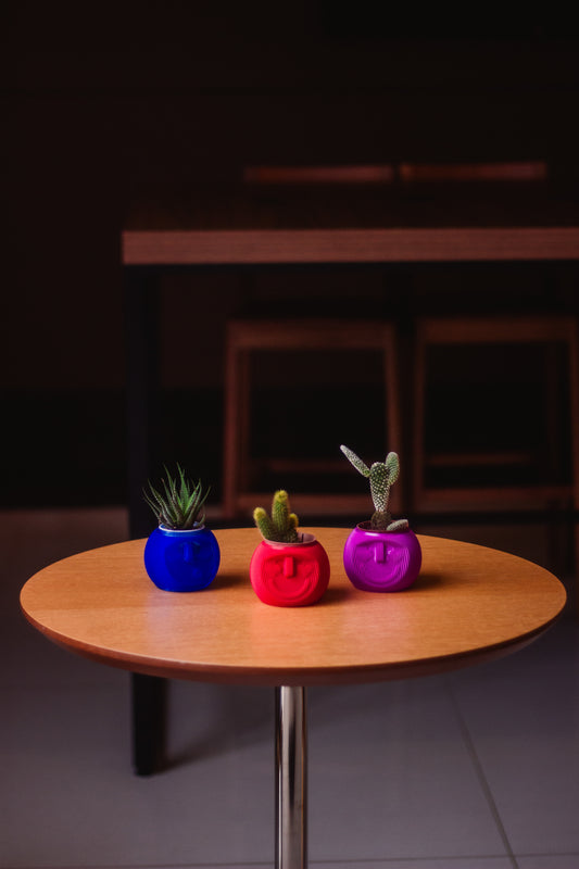 Cachepô Cara de Planta – Impressão 3D