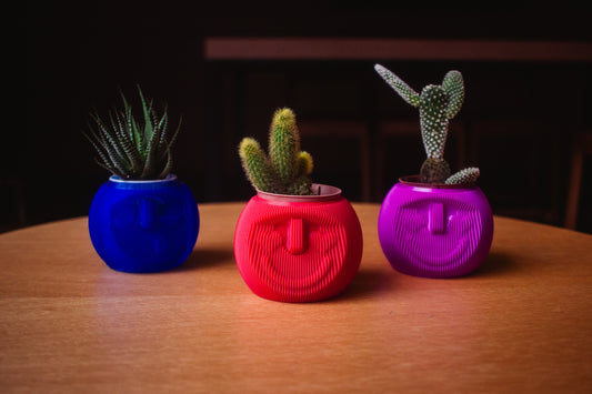 Cachepô Cara de Planta – Impressão 3D