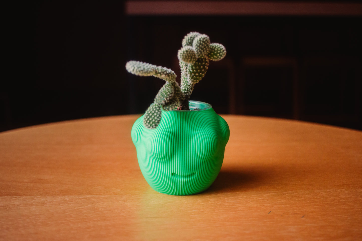 Cachepô Cara de Planta – Impressão 3D