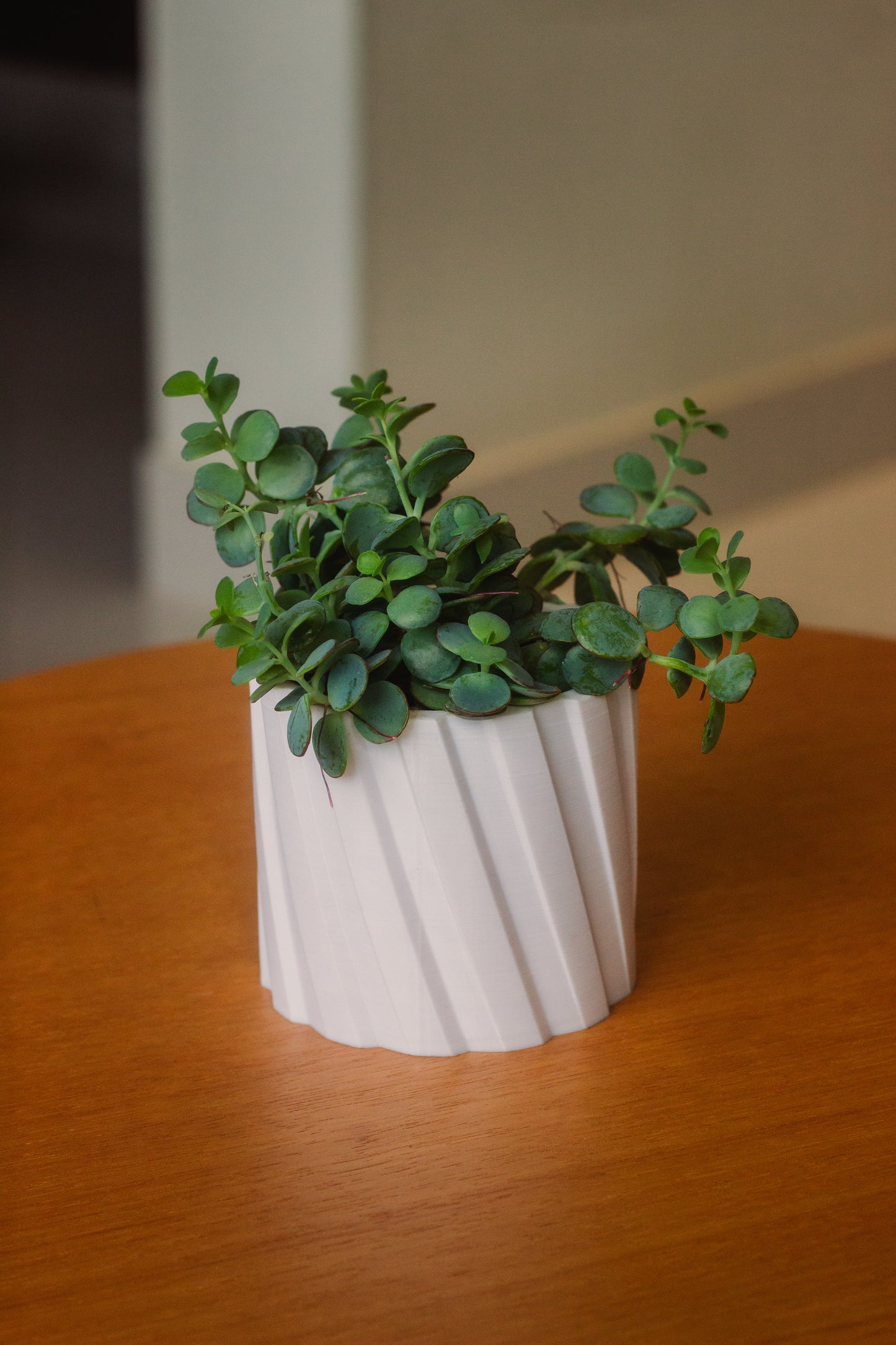 Cachepô Linear - Impressão 3D
